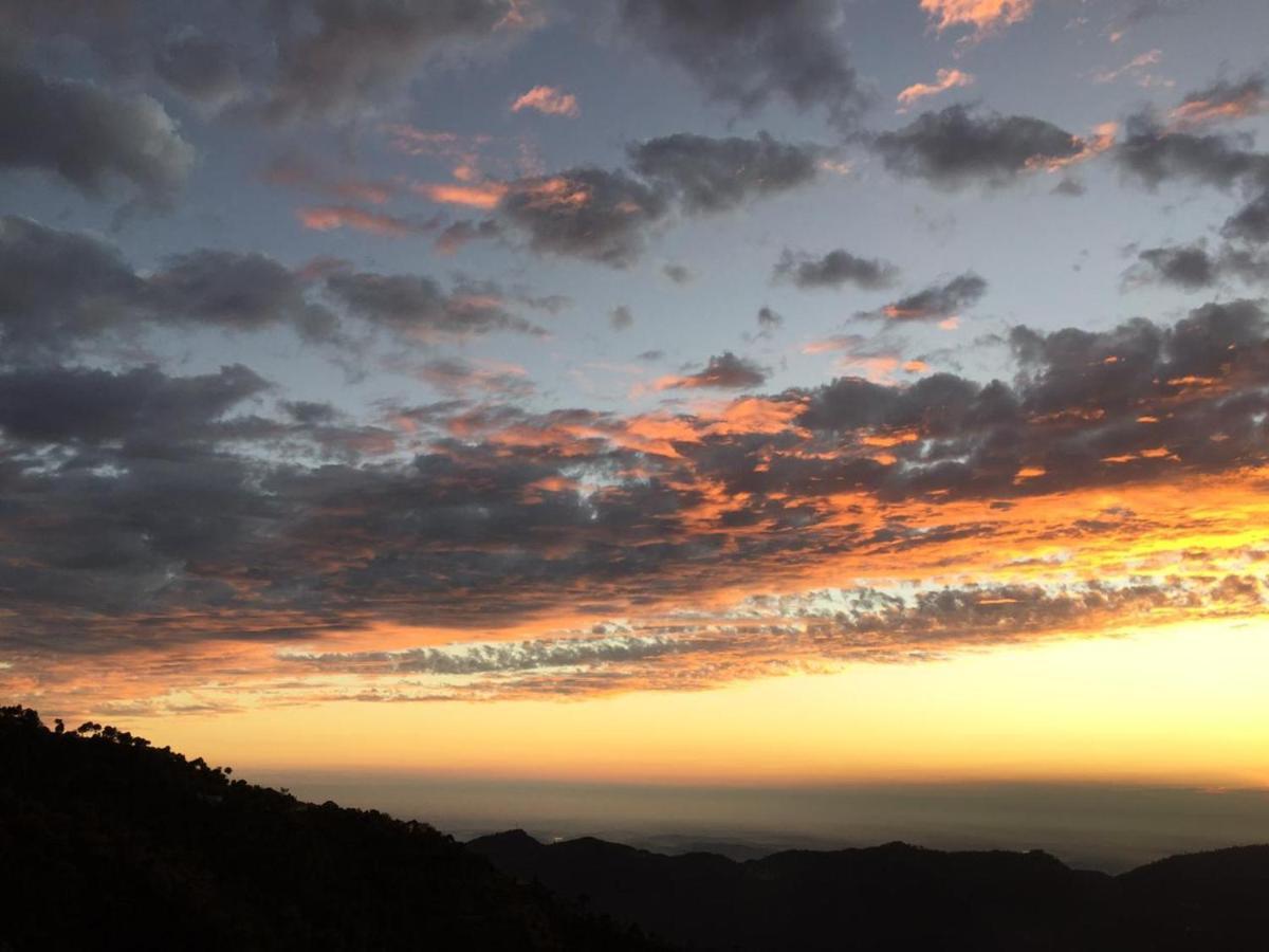 Apartament Kanda Road 4 Kasauli Zewnętrze zdjęcie